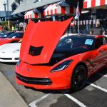 VetsandVettes_0027 (November 09, 2013)